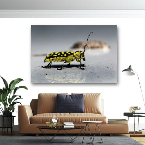 Πίνακας σε καμβά Κίτρινο έντομο 75x50 Τελαρωμένος καμβάς σε ξύλο με πάχος 2cm