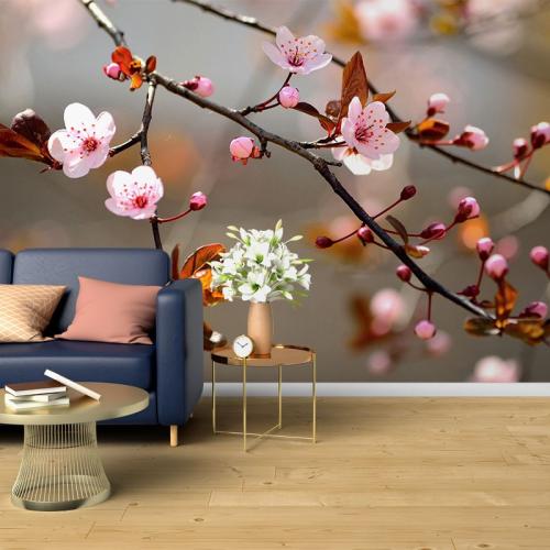 Ταπετσαρία τοίχου Blossom 270x180 Βινύλιο