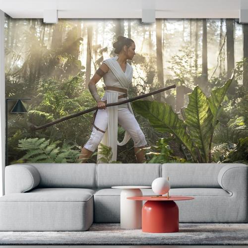 Ταπετσαρία τοίχου Star Wars- The Rise of Skywalker 3 240x160 Βινύλιο
