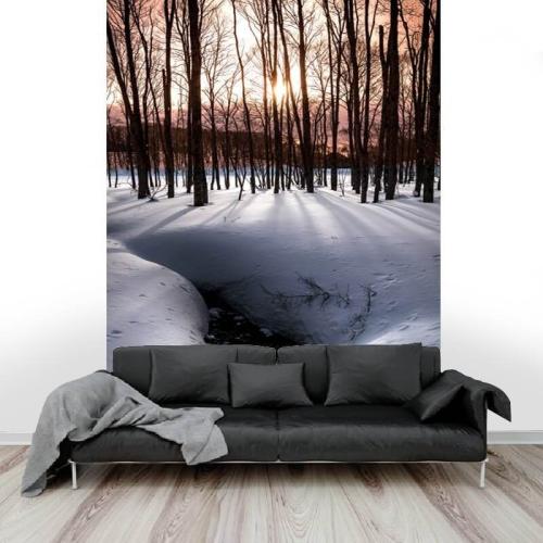 Ταπετσαρία τοίχου με Χιονισμένο Δάσος 160x90 Βινύλιο
