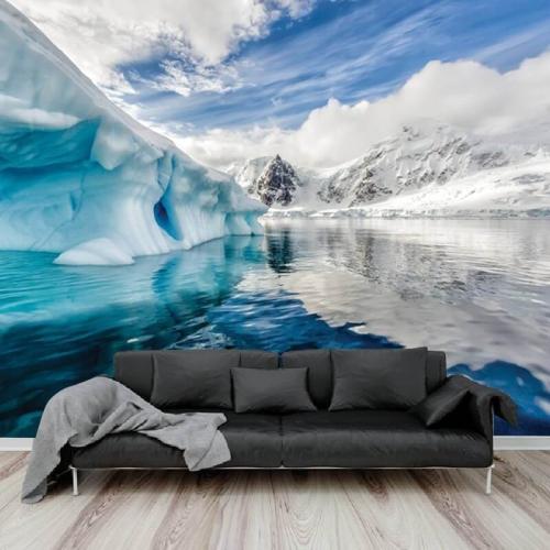 Ταπετσαρία τοίχου με Ανταρκτική 220x120 Ύφασμα