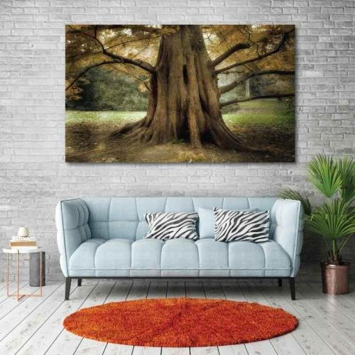 Πίνακας σε καμβά Κορμός Δέντρου 80x48 Τελαρωμένος καμβάς σε ξύλο με πάχος 2cm