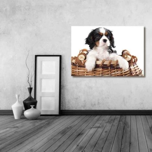 Πίνακας σε καμβά Σκύλος σε καλάθι 145x100 Τελαρωμένος καμβάς σε ξύλο με πάχος 2cm