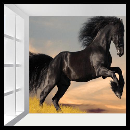 Ταπετσαρία με μάυρο άλογο 280x280 Ύφασμα