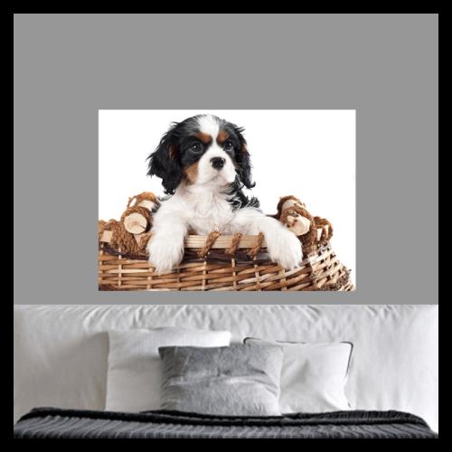 Πίνακας σε καμβά Dog in the basket 159.5x110 Τελαρωμένος καμβάς σε ξύλο με πάχος 2cm