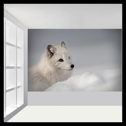 Ταπετσαρία τοίχου Άσπρος λύκος 100x60 Ύφασμα