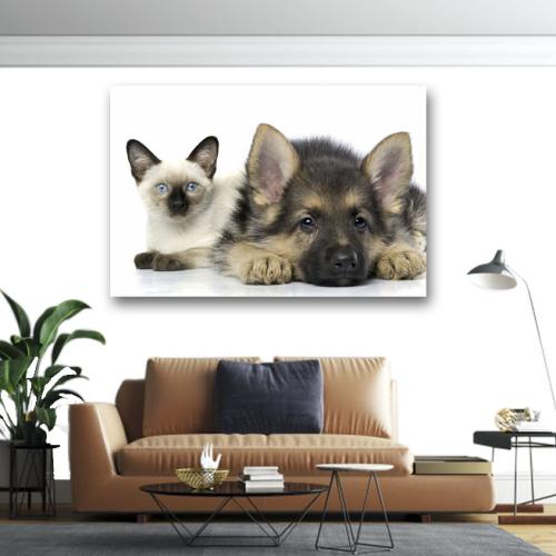 Πίνακας σε καμβά Σκύλος με γάτα 80x120 Τελαρωμένος καμβάς σε ξύλο με πάχος 2cm