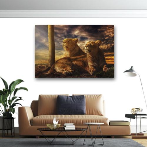 Πίνακας σε καμβα Δυο θηλυκά λιοντάρια 230x345 Τελαρωμένος καμβάς σε ξύλο με πάχος 2cm