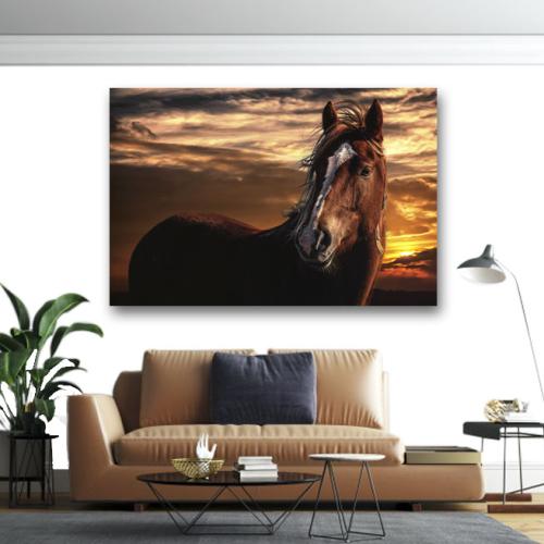 Πίνακας σε καμβά Καφέ άλογο 140x210 Τελαρωμένος καμβάς σε ξύλο με πάχος 2cm