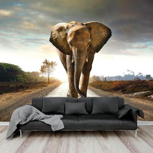 Ταπετσαρία τοίχου με ελέφαντα 100x60 Ύφασμα