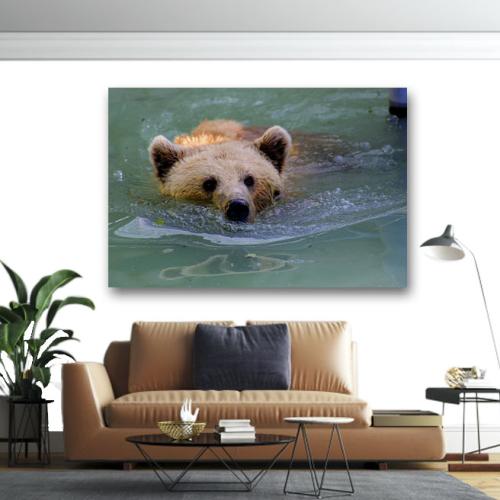 Πίνακας σε καμβά Καφέ αρκούδα στο νερό 75x50 Τελαρωμένος καμβάς σε ξύλο με πάχος 2cm