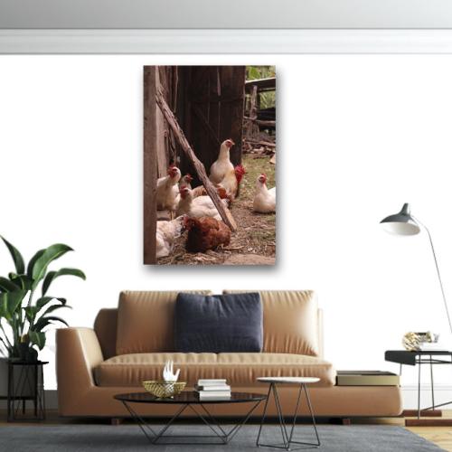 Πίνακας σε καμβά Κότες στο κοτέτσι 2 210x140 Τελαρωμένος καμβάς σε ξύλο με πάχος 2cm