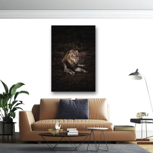 Πίνακας σε καμβά Λιοντάρι ξαπλωμένο 255x170 Τελαρωμένος καμβάς σε ξύλο με πάχος 2cm
