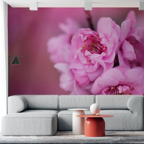 Ταπετσαρία τοίχου Φούξια λουλούδια 150x100 Ύφασμα