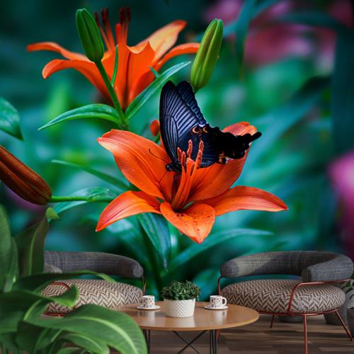 Ταπετσαρία με Lily Orange Flower 270x180 Βινύλιο