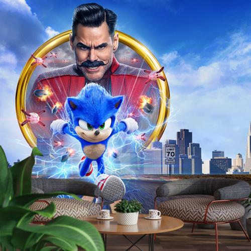 Sonic the Hedgehog movie 270x152 Ύφασμα