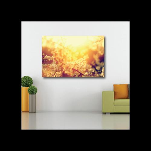 Πίνακας σε καμβά Ανθισμένη αμυγδαλιά στον ήλιο 60x90 Τελαρωμένος καμβάς σε ξύλο με πάχος 2cm