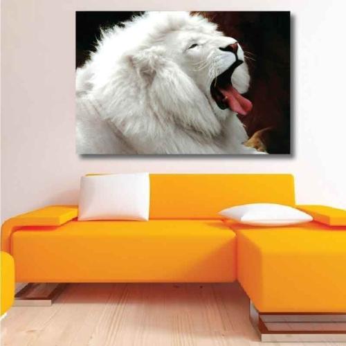 Πίνακας σε καμβά με λευκό λιοντάρι 90x135 Τελαρωμένος καμβάς σε ξύλο με πάχος 2cm