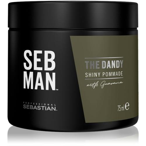 Sebastian Professional SEB MAN The Dandy Πομάδα μαλλιών για φυσικό κράτημα 75 μλ