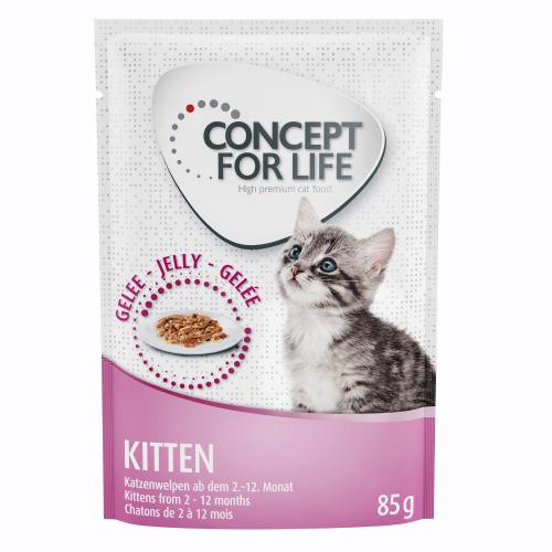 10€ Έκπτωση: 48 x 85 g Concept for Life - Kitten σε Ζελέ
