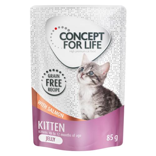 Πακέτο Προσφοράς Concept for Life Χωρίς Δημητριακά 24 x 85 g - Kitten Σολομός - σε Ζελέ