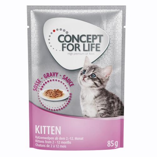 Πακέτο Προσφοράς Concept for Life 24 x 85 g - Kitten - σε Σάλτσα
