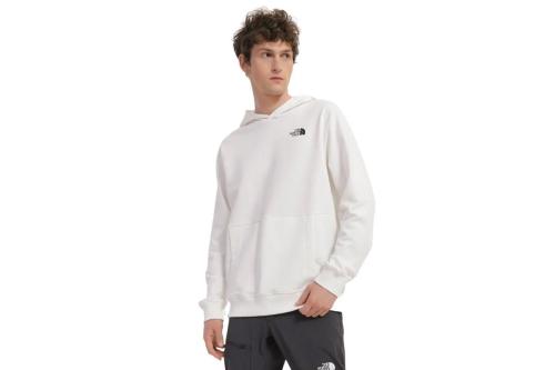 The North Face M D2 Graphic Hoodie Ανδρικό (NF0A83FON3N1)