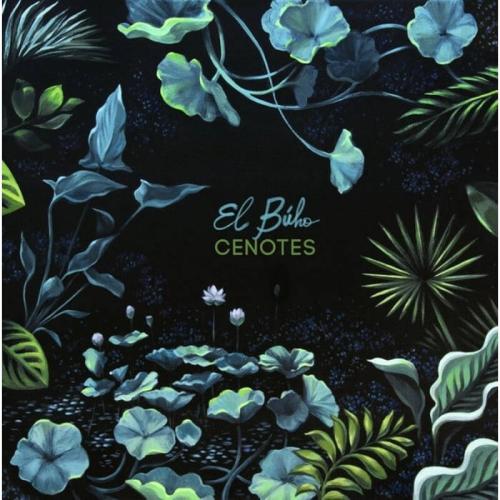 Cenotes (LP12)