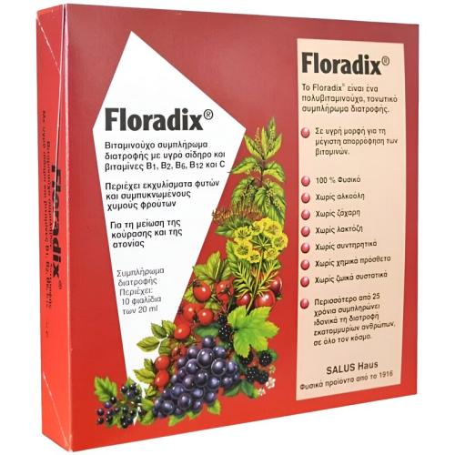 Power Health Multivitamin Salus Floradix 10x20ml